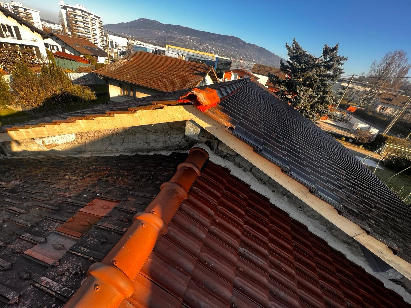 WhatsApp Image 2025-08-28 at 16.01.49 (3)