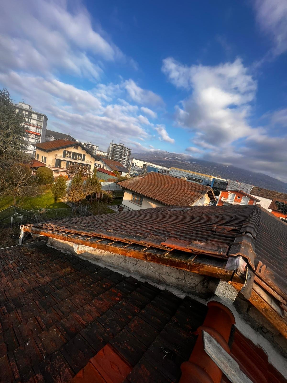 WhatsApp Image 2025-08-28 at 16.01.49